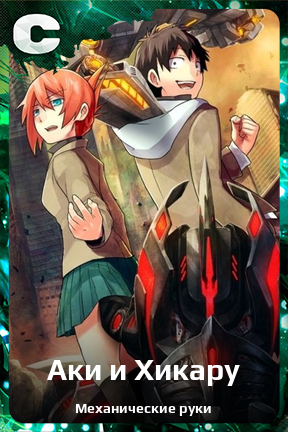 Карточка персонажа Аки и Хикару