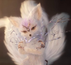 viorika