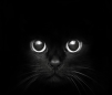Аватарка пользователя Nismo38rus