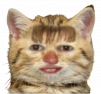 pochatok